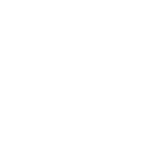 icon-google